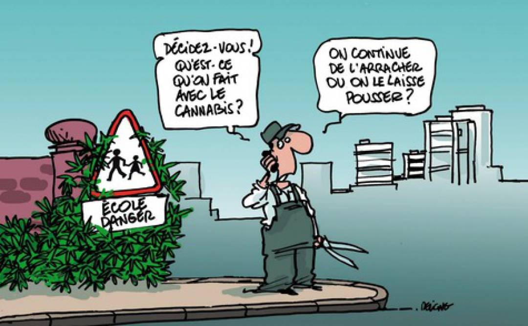 La-depenalisation-du-cannabis-continue-de-faire-debat_article_main