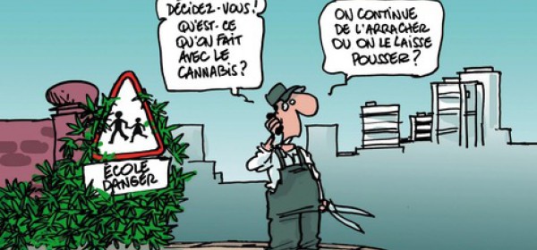 Le débat du cannabis en France