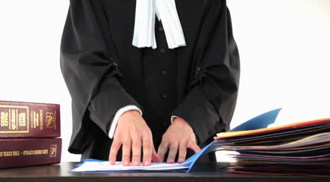 avocat statistique 2019 - grands avocats 2